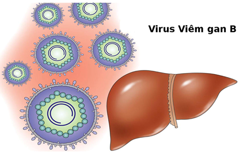 Viêm gan do nhiều loại virus gây nên