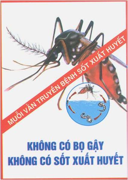 Muỗi vằn - Thủ phạm truyền bệnh sốt xuất huyết