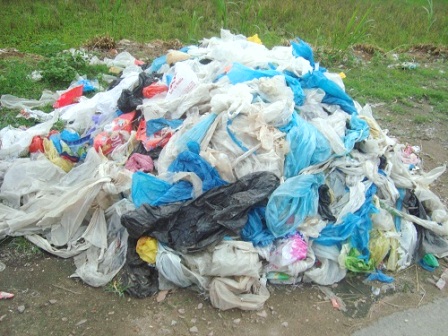 Túi nilon – Chất thải gây ô nhiễm môi trường ( nguồn Internet)
