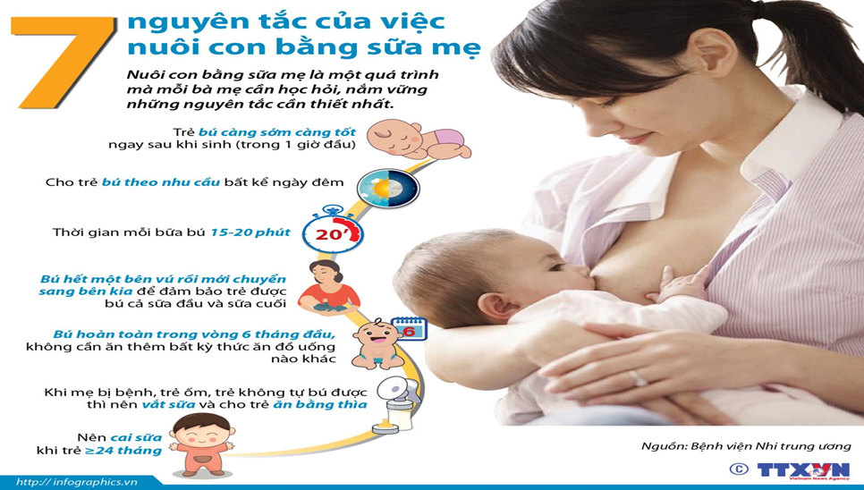 7 nguyên tắc của việc nuôi con bằng sữa mẹ